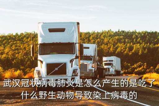 武漢冠狀病毒肺炎是怎么產(chǎn)生的是吃了什么野生動(dòng)物導(dǎo)致染上病毒的