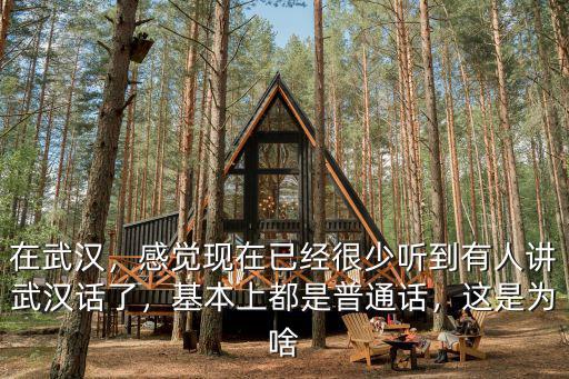武漢話真舒服怎么說,武漢人究竟說的是什么話