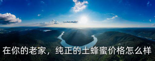 在你的老家，純正的土蜂蜜價(jià)格怎么樣
