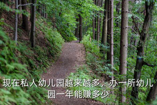 現(xiàn)在私人幼兒園越來越多，辦一所幼兒園一年能賺多少