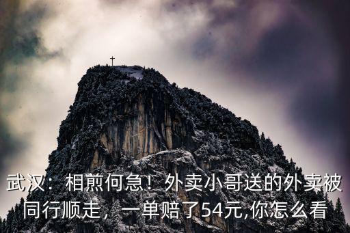 武漢：相煎何急！外賣小哥送的外賣被同行順走，一單賠了54元,你怎么看