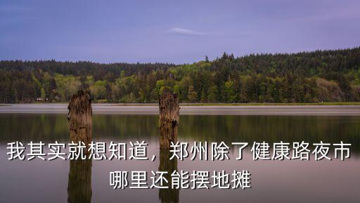 我其實就想知道，鄭州除了健康路夜市哪里還能擺地攤