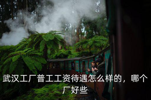 武漢工廠普工工資待遇怎么樣的，哪個(gè)廠好些
