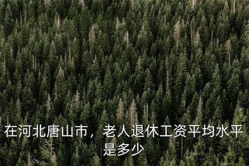 在河北唐山市，老人退休工資平均水平是多少