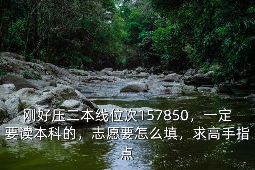 剛好壓二本線位次157850，一定要讀本科的，志愿要怎么填，求高手指點