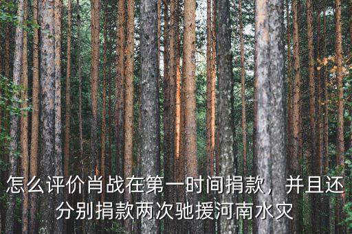河南水災易見股份捐款多少,河南水災少林寺捐款了嗎