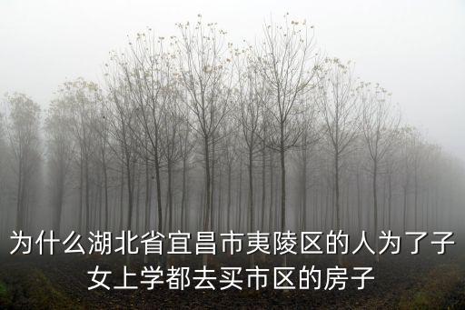 為什么湖北省宜昌市夷陵區的人為了子女上學都去買市區的房子