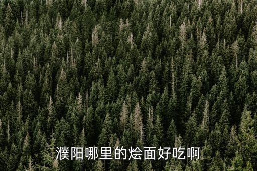 濮陽哪里的燴面好吃啊