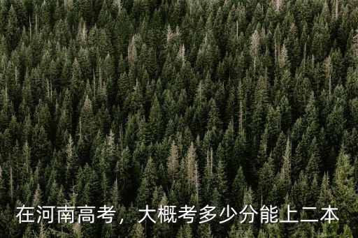 河南考生考了多少分能上二本,大概考多少分能上二本
