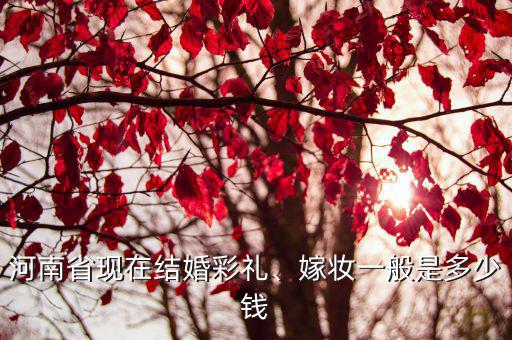 河南省現在結婚彩禮、嫁妝一般是多少錢
