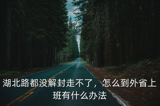 去湖北路怎么走,湖北路都沒解封走不了