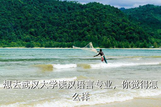 想去武漢大學讀漢語言專業，你覺得怎么樣