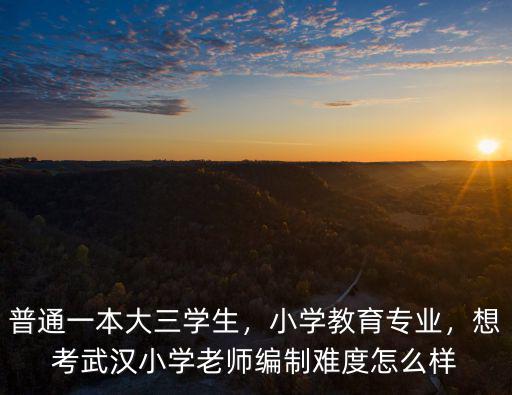 普通一本大三學生，小學教育專業(yè)，想考武漢小學老師編制難度怎么樣