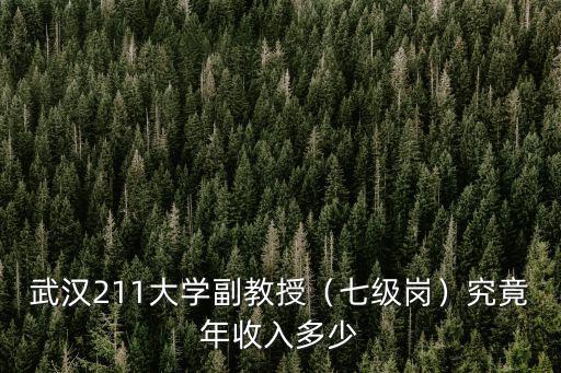 武漢211大學副教授（七級崗）究竟年收入多少