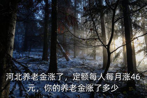 河北養老金漲了，定額每人每月漲46元，你的養老金漲了多少