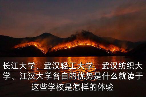 長江大學、武漢輕工大學、武漢紡織大學、江漢大學各自的優勢是什么就讀于這些學校是怎樣的體驗