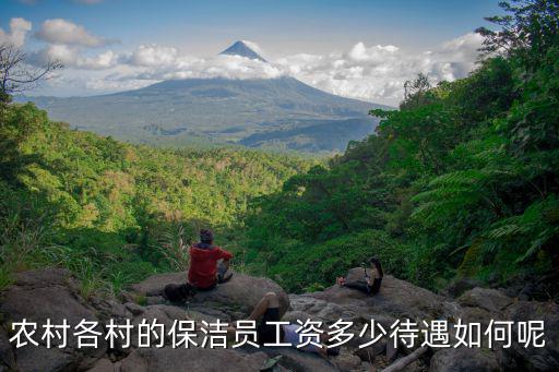 河北鄉村環衛多少人一個保潔員,農村各村的保潔員工資多少