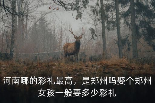 河南哪的彩禮最高，是鄭州嗎娶個鄭州女孩一般要多少彩禮