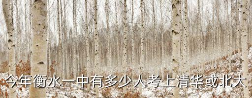 山東衡水中學有多少人,有多少人是事業有成的