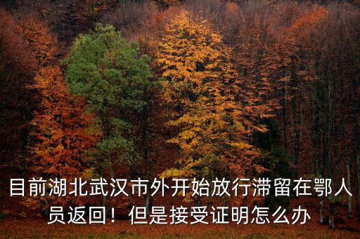 目前湖北武漢市外開始放行滯留在鄂人員返回！但是接受證明怎么辦