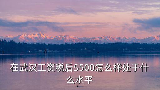 在武漢工資稅后5500怎么樣處于什么水平