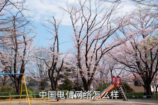 中國電信湖北二師服務點怎么樣,中國電信怎么樣