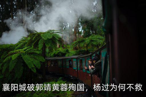 郭靖黃蓉戰死襄陽城怎么楊過沒來幫忙,郭靖黃蓉夫婦戰死襄陽城