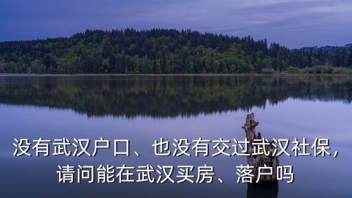 在武漢沒有社保怎么落戶,也沒有交過武漢社保