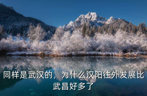 同樣是武漢的，為什么漢陽往外發展比武昌好多了