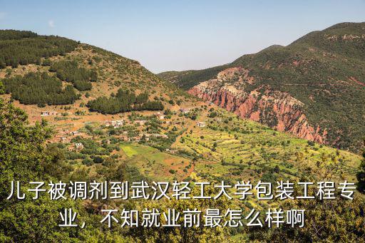 武漢輕工大學(xué)里的明興駕校怎么樣,湖北的武漢輕工大學(xué)怎么樣