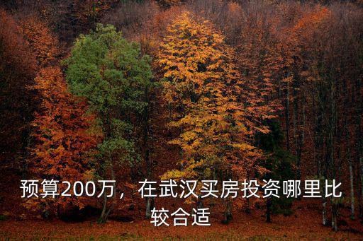 預(yù)算200萬(wàn)，在武漢買(mǎi)房投資哪里比較合適