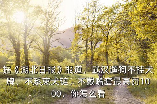 據《湖北日報》報道，武漢遛狗不掛犬牌、不系束犬鏈、不戴嘴套最高罰1000，你怎么看
