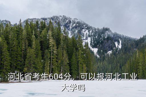 河北省考生604分，可以報河北工業大學嗎