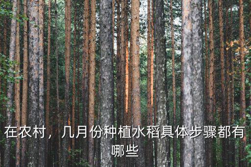 鄭州哪里有水稻種植,幾月份種植水稻