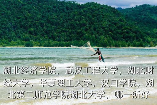 湖北經濟學院，武漢工程大學，湖北財經大學，華夏理工大學，漢口學院，湖北第二師范學院湖北大學，哪一所好