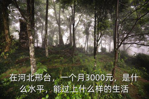 邢臺幼師一個月多少錢一個月,邢臺幼師編制一個月多少錢