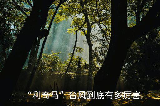 臺(tái)風(fēng)利奇馬將登陸河南省哪里,利奇馬臺(tái)風(fēng)登陸情況如何