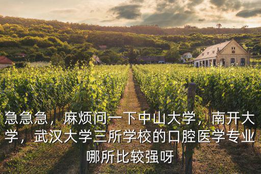 武漢大學第二臨床學院口腔醫學專業怎么樣,我孩子學武漢大學口腔專業