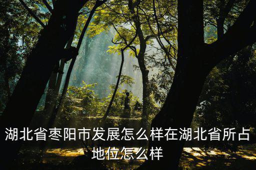 湖北省棗陽市發展怎么樣在湖北省所占地位怎么樣