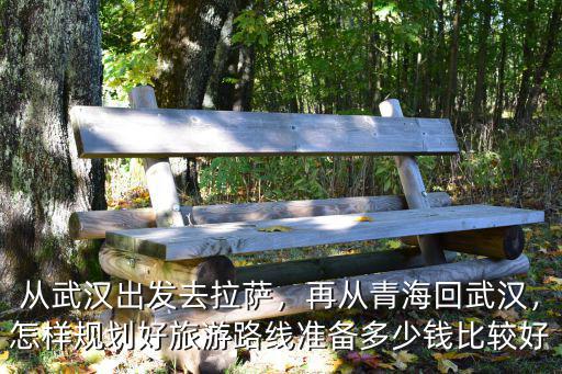 拉薩怎么回武漢便宜,如果買不到拉薩回武漢的票