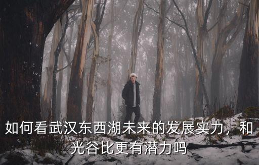 如何看武漢東西湖未來的發(fā)展實力，和光谷比更有潛力嗎