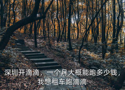 深圳開滴滴，一個月大概能跑多少錢，我想租車跑滴滴