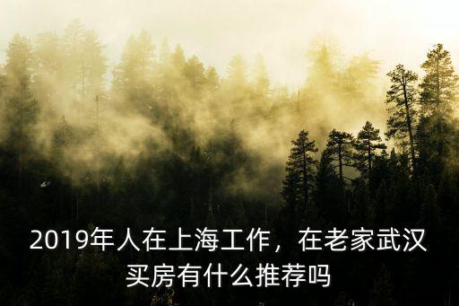 2019年人在上海工作，在老家武漢買房有什么推薦嗎