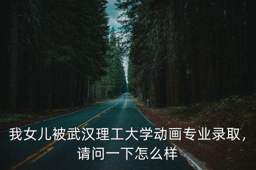 我女兒被武漢理工大學動畫專業(yè)錄取，請問一下怎么樣