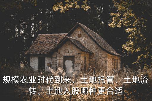 規模農業時代到來，土地托管、土地流轉、土地入股哪種更合適
