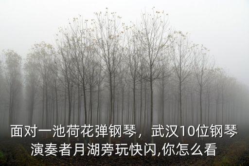 面對一池荷花彈鋼琴，武漢10位鋼琴演奏者月湖旁玩快閃,你怎么看