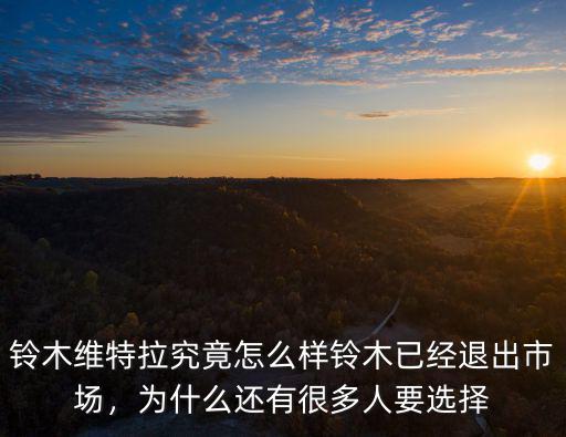 鈴木維特拉究竟怎么樣鈴木已經退出市場，為什么還有很多人要選擇