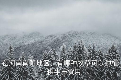 在河南南陽地區，有哪種牧草可以種植，供牛羊食用