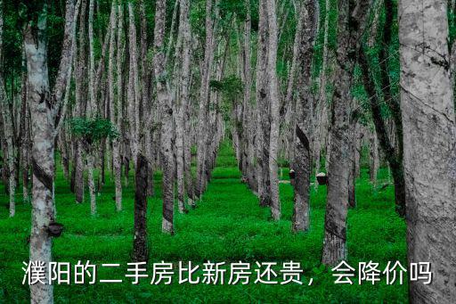 濮陽的二手房比新房還貴，會降價嗎