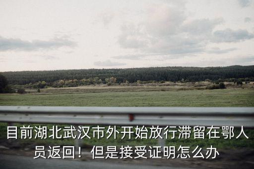 目前湖北武漢市外開始放行滯留在鄂人員返回！但是接受證明怎么辦